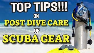 How to Properly Clean your Scuba Gear (Top Tips)