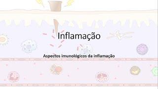 Inflamação, Resposta inflamatória, Quimiocinas; Migração leucocitária; Fagocitose.