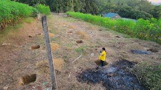 Dig 15 holes to place concrete pillars to build a pig farm