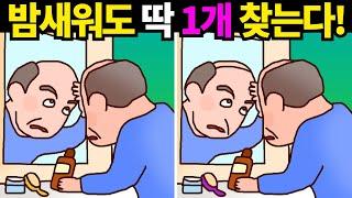 그냥 딱 2개만 찾아도 죽어있던 두뇌세포가 다시되살아납니다! [다른그림찾기] #748