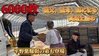 【6000枚】祖父、祖母、孫による高速土詰め！！