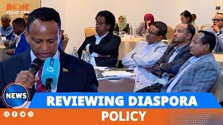 REVIEWING DIASPORA POLICY