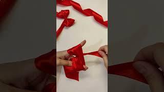 How to Tie a Double Loop Bow | How to Make a Double Bow | Kako vezati masnu #shorts