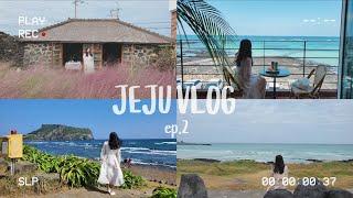 [제주브이로그] ep.2 가을 제주 여행 | 하도핑크 | 카페록록 | 광치기해변 제주 예쁨 한가득 