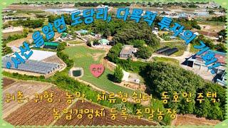 (매물번호 335) 서산부동산," 음암면 도당리, 다양한 가능성이 기다리는 곳!       지금 확인하세요!"