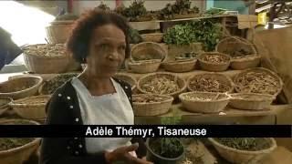 La marjolaine présentée par Madame Adèle Thémyr