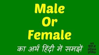 Male Or Female Meaning In Hindi | Male or Female ka matlab kya hota hai ?