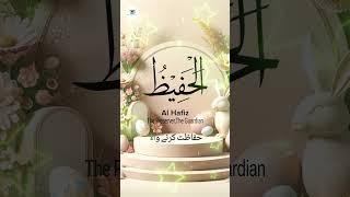 Al-Hafiz #Allah #allah #trending #shorts #deen #ilmkaencyclopedia #viralshorts