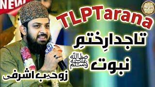 Zohaib Ashrafi New TLP Tarana Short Clip || Mohsin Owaisi