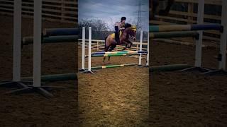 #horse #sportshorse #horseenthusiast #horsefan #pony #horseaddict #horselover #jumping