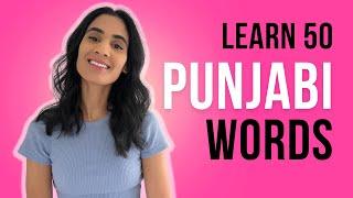 Learn Punjabi Words | Beginner Punjabi | Learn English to Punjabi