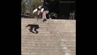 Chris Joslin Tre Flip's El Toro