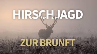 Mit Hirsch im Herzen – Auf Brunfthirsch mit der Doppelbüchse – Hunt on Demand Ausschnitt