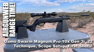 Gamo Swarm Magnum Pro 10x Gen 3i .22 Shooting Technique, Scope Setup, & First Shots!