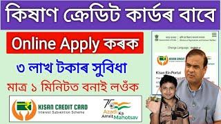 Kisan Credit Card Online Apply 2024 _ 3 Lakh Benifite _ How to online apply kisan credit 2024