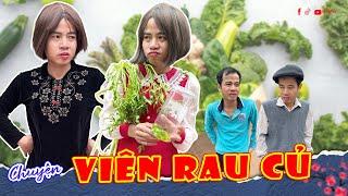 Chuyện Viên Rau Củ | Phim Hài Thị Hến | Olinhli