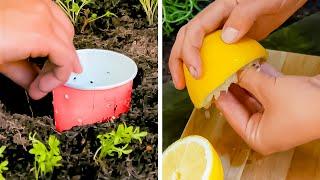 Le jardinage sans la sueur ! Facilitez-vous la vie avec ces astuces de jardinage