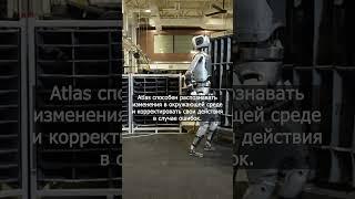 Boston Dynamics делает своего робота Atlas полезным  #robot #робот #новоститехнологий #proроботов