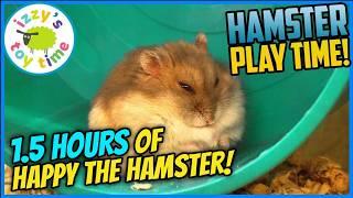 Happy the Hamster’s 4-Year Journey: Sir Hamsterlot’s IKEA Mansion (1.5+ Hours!)