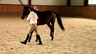 Paulo Sergio Perdiago - work in-hand with young horse