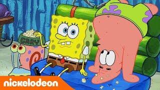 Губка Боб Квадратные Штаны | Лучшие друзья | Nickelodeon Россия