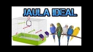 Jaula Ideal para tener Periquitos | Rincon Animal