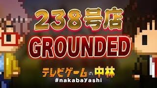 テレビゲームの中林 238号店 GROUNDED