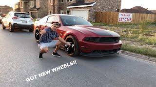 MUSTANG GETS NEW WHEELS!!!!