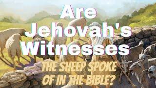 Are Jehovah's Witnesses  The Sheep Spoke of in The Bible?