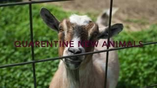 Basics of Bio security for the Goat Farm