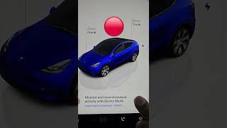 how to use Sentry mode  on Tesla cars #reels #retro #80s #2030 #ai #camera #tech #car #music