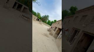 Pure Village Life in Punjab #villagelife #rurallife