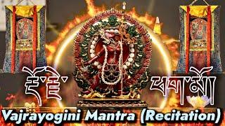 Super Powerful Dakini Mantra(Recitation)Vajrayogini|རྡོ་རྗེ་ཕག་མོ Dorje Phagmo बज्रा योगीनी मन्त्र