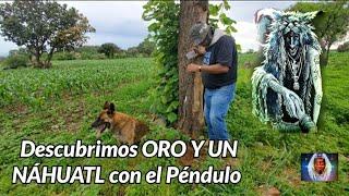 Nos contaron de Un Arbol que Le cayo un Rayo y Encontramos su Tesoro Era un NÁHUATL 