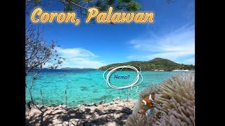 Coron, Palawan (Malcapuya Island, Ditaytayan Sandbar, & Bulog Dos Island)