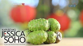 Kapuso Mo, Jessica Soho: Noni Fruit: Gamot o Lason?