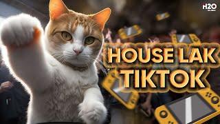 HOUSE LAK TIKTOK #11NHẠC REMIX TIKTOK 2024MIXTAPE DEEP HOUSE, VIET DEEP, HOUSE LAK