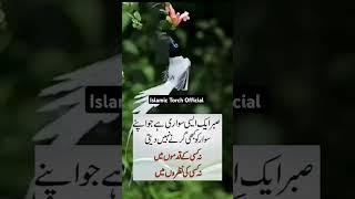 Sabar Kya Hai||Urdu Quotes||Islamic Torch Official #shorts #viral #urduquotes