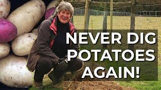 Lazy Potatoes | The Easy Way to Grow Potatoes | No Dig, No Compost, Easy Harvest!