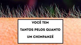 14 Fatos Incríveis E Pouco Conhecidos Sobre O Corpo Humano