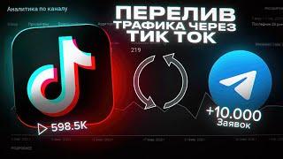 Трафик из ТикТок в Телеграм или Как Заработать 1000$ за Один Месяц!