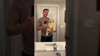 Watch my puppy transform into a teenager! 2-5 months #goldenretriever #dog