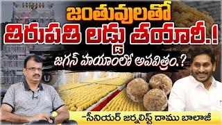 YCP Leaders Scam In Tirupati Laddu.? | Red Tv