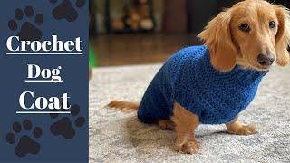 Crochet a Cozy Sweater for your Furry Friend! | Easy Pattern & Tutorial