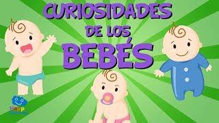 Curiosidades de los Bebés | Videos Educativos para Niños.