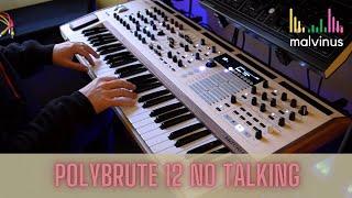 Arturia Polybrute 12 - No Talking