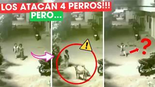 NIÑOS iban caminando por la CALLE y los RODEARON 4 PERROS... pero ESTO LOS SALVÓ! 