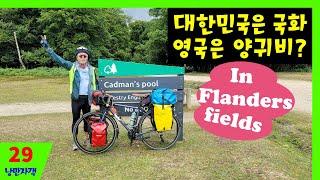 #29 양귀비 화환의 의미 ; 솔즈베리 대성당 ; In flanders fields