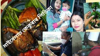 সখী ঘৰলৈ  বহুত দিনৰ অন্তত// কেকুৰাৰ চাতনি বৰ সোৱাদ লাগিল// পিংকুযে আনি কাটিলে মাংস