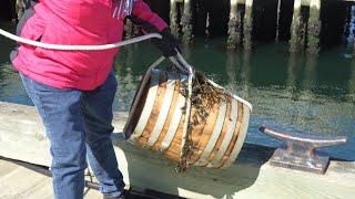 Fishing For Rum in Halifax Harbour | Deep Shore!